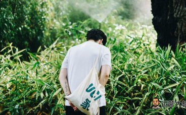 植树节文案,值得一看!